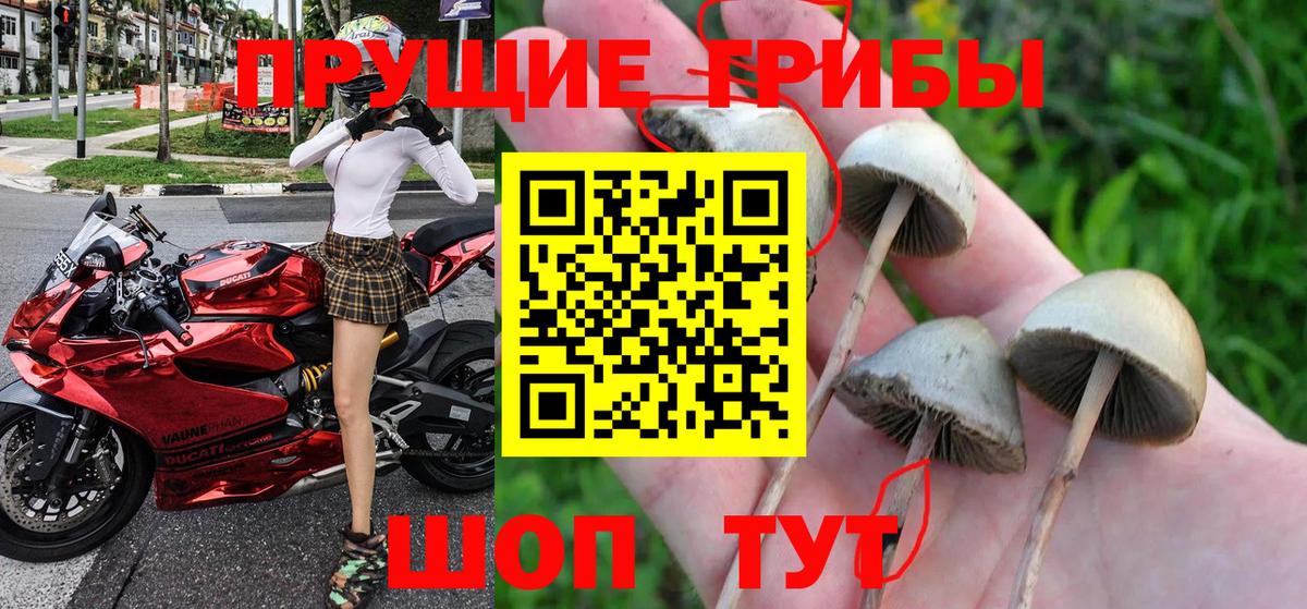 Галлюциногенные грибы Magic Shrooms  Вход с VPN  Ревда 